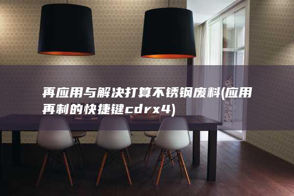 再应用与解决打算