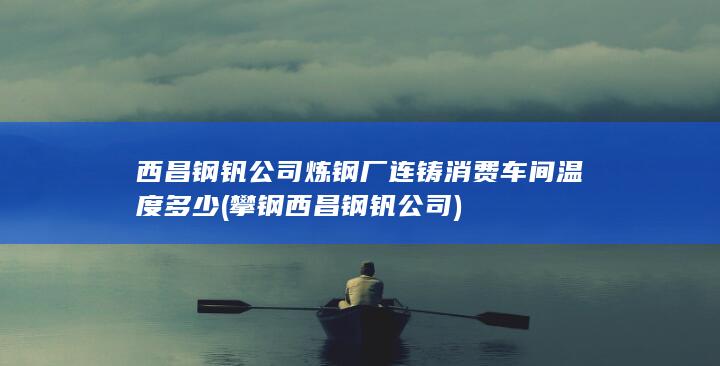 攀钢西昌钢钒公司