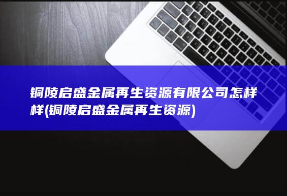 铜陵启盛金属再生资源有限公司怎样样