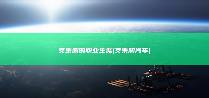 支秉渊的职业生涯