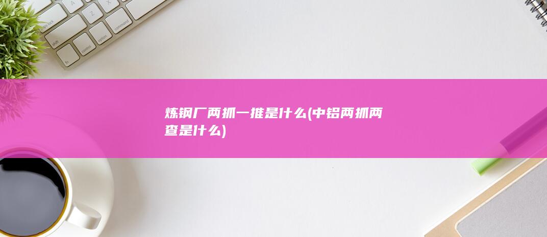 中铝两抓两查是什么