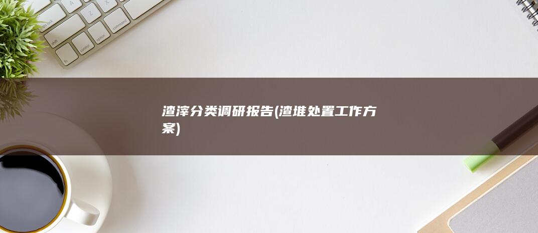 渣滓分类调研报告