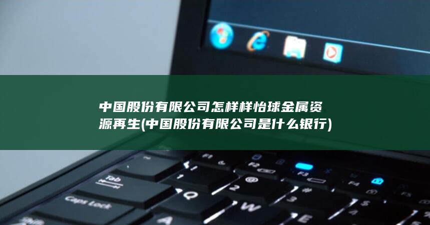 股份有限公司怎样样