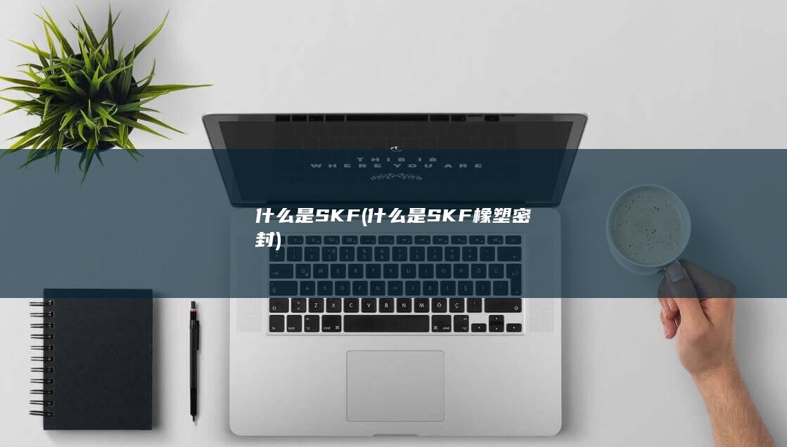 什么是SKF橡塑密封
