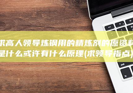 求高人领导