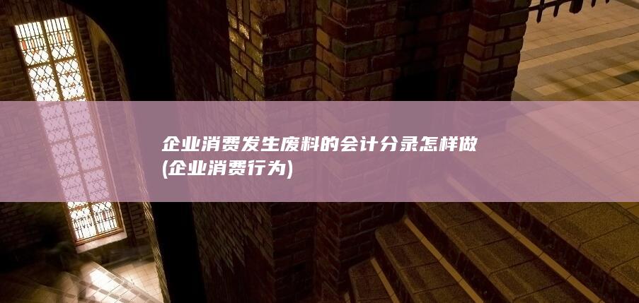 企业消费行为