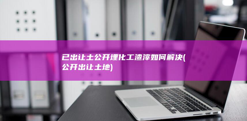 公开出让土地