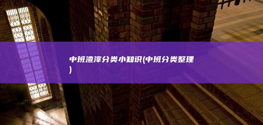 中班渣滓分类小知识