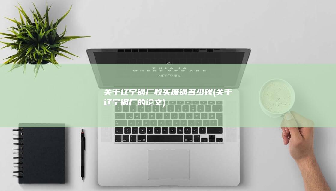 关于辽宁钢厂的论文
