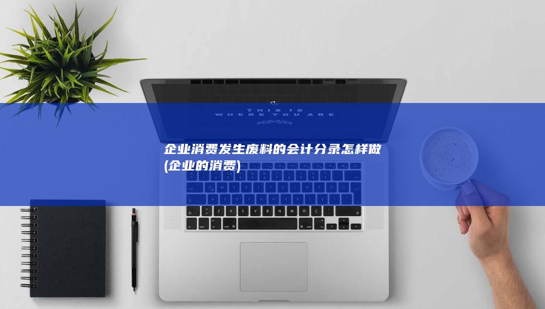 企业的消费