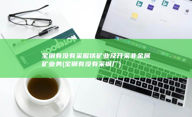 宝钢有没有采掘铁矿业及开采非金属矿业务