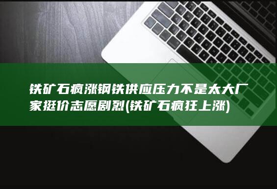 铁矿石疯涨