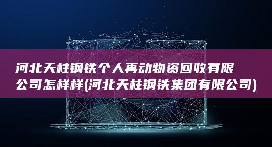 河北天柱钢铁个人再动物资回收有限公司怎样样
