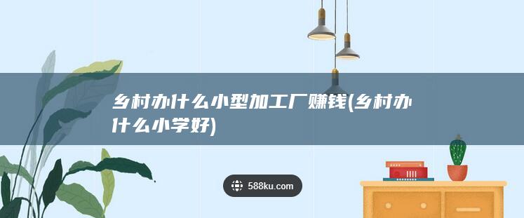 乡村办什么小学好