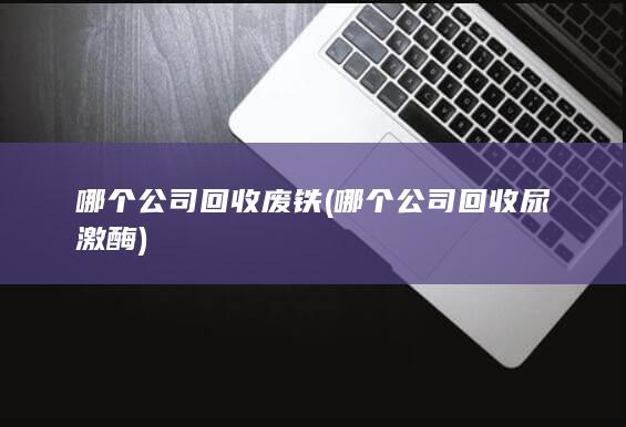 哪个公司回收废铁