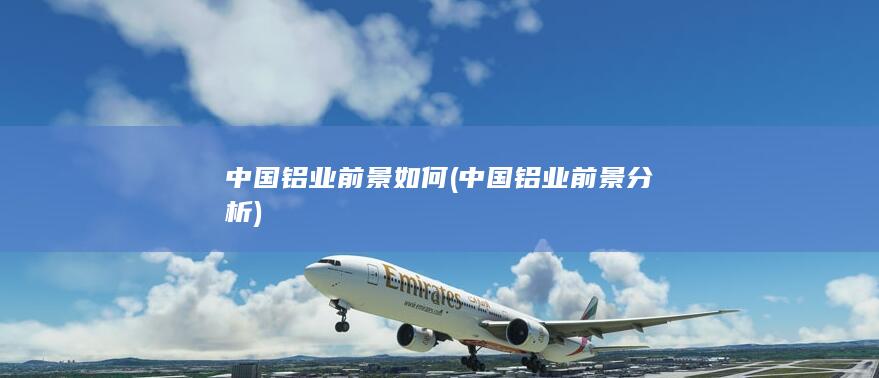 中国铝业前景分析