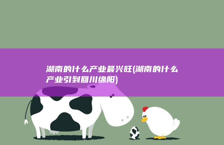 湖南的什么产业引到回川绵阳