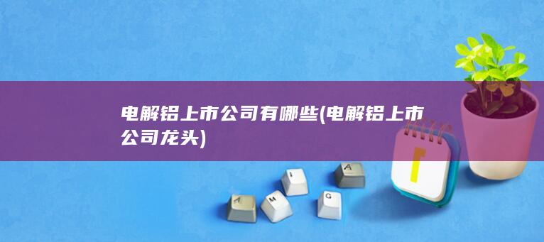 电解铝上市公司龙头